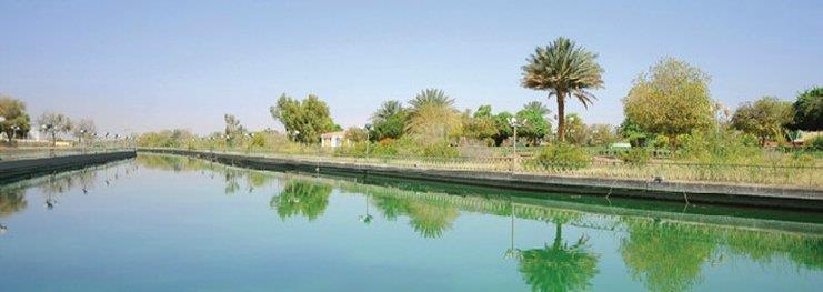 One To One Hotel & Resort Ain Al Faida อัลอิน ภายนอก รูปภาพ